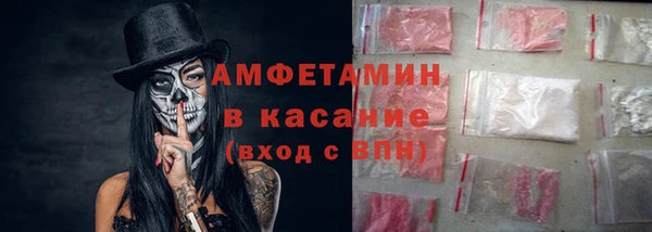 прущие грибы Иннополис