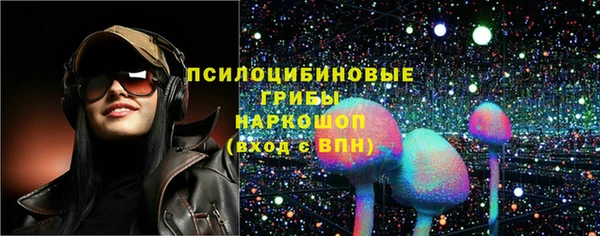 прущие грибы Иннополис