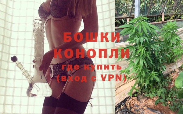 прущие грибы Иннополис