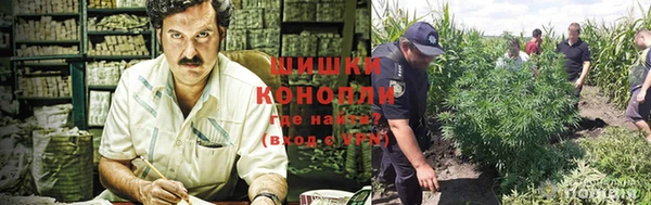 спайс Инта