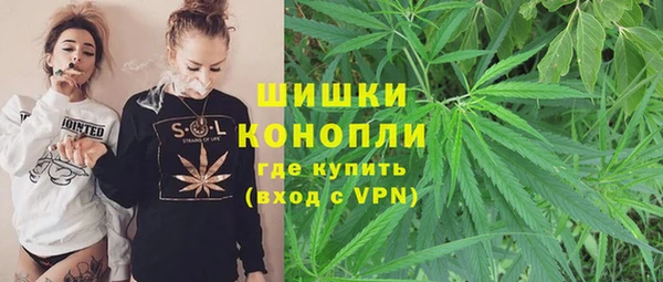 спайс Инта