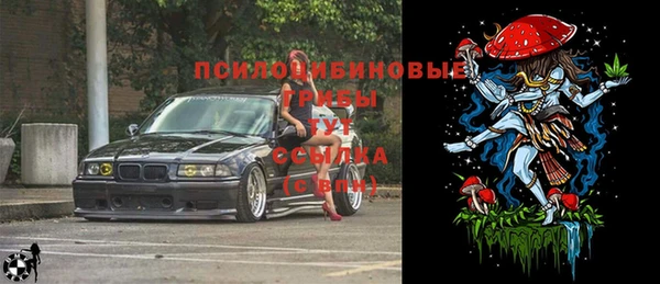спайс Инта